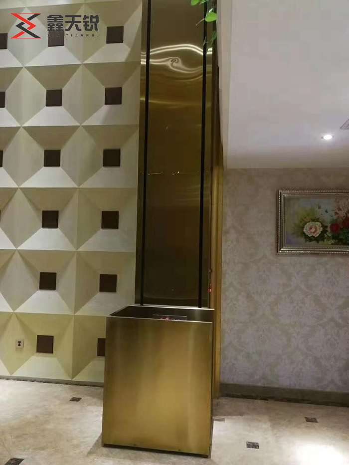 六安残疾人升降机